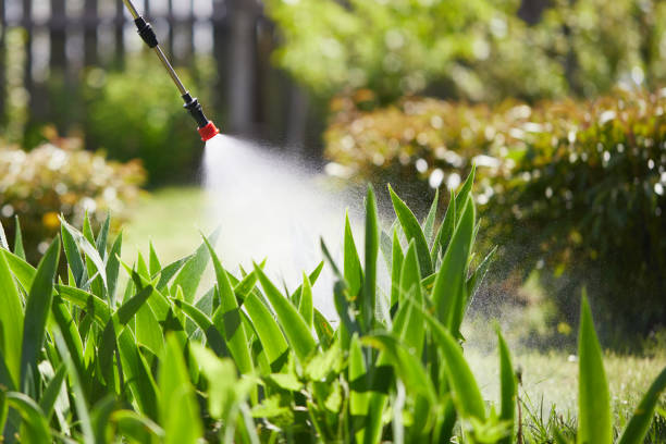 24/7 Emergency Mosquito Control experts in Munster, IN