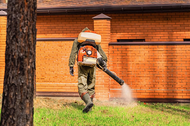 Top rated local Mosquito Control specialists in Munster, IN
